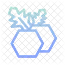 Cranberry  Icon