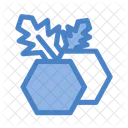 Cranberry  Icon