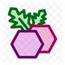 Cranberry  Icon