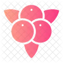 Cranberry Organic Vegan Icon