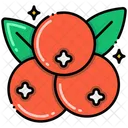 Cranberry Icon