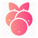 Cranberry  Icon