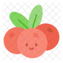 Cranberry Berry Berries Icon