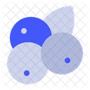 Fruit Lychee Holiday Icon