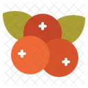 Fruit Lychee Holiday Icon