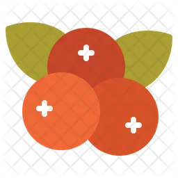 Cranberry  Icon