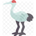 Crane Bird Crowned アイコン