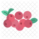 Crane Berry Fruit Food Icon