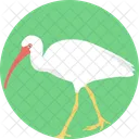 Crane Bird  Icon