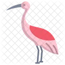 Crane Bird Flamingo Flightless Bird アイコン