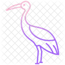 Crane Bird Flamingo Flightless Bird アイコン