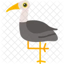 Crane Bird Bird Crane Icon