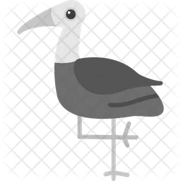 Crane bird  Icon