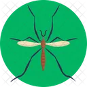 Crane Fly Fly Insect Icon