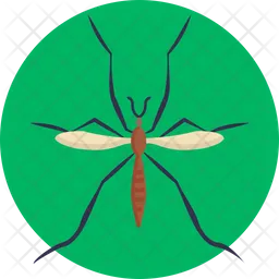 Crane Fly  Icon