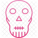 Calavera Letreros De Neon Esqueleto Icono