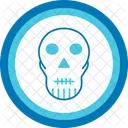 Calavera Letreros De Neon Esqueleto Icono