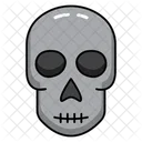 Cranial Structure Head Bone Skullcap Icon
