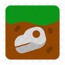 Cranio Natureza Solo Ícone