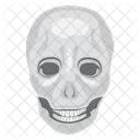 Esqueleto Cranio Osso Ícone