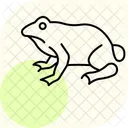 Crapaud Amphibien Visqueux Icône