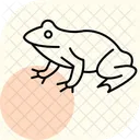 Crapaud A Pieds De Beche Crapaud A Pieds De Beche Amphibien Icône