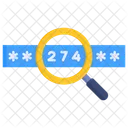 Craquage De Mot De Passe Craquage Code De Mot De Passe Icône