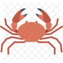 Crawfish Crawl Crab Crayfish Icon
