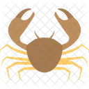 Crawl Crab Lobster Icon