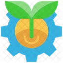 Creation  Icon
