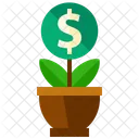 Crecer Dinero Planta Icono