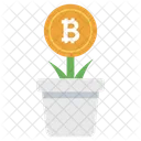 Crecimiento de bitcoin  Icon