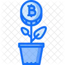 Planta Bitcoin Moneda Icon