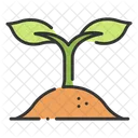 Planta De Crecimiento Crecimiento Planta Icon