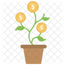 Dinero Planta Crecimiento Icono