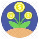 Dinero Planta Crecimiento Icono