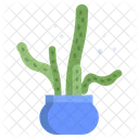 Creeping Devil Cactus Pot Cactus Plant Icon