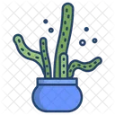Creeping Devil Cactus Pot Cactus Plant Icon