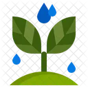 Crescer  Ícone