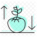 Crescimento Da Planta De Tomate Tomate Planta Icon