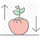 Crescimento Da Planta De Tomate Tomate Planta Icon