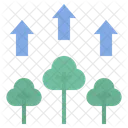 Crescimento Da Arvore Arvore Aumento Ícone