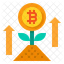 Crescimento do bitcoin  Icon