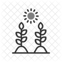 Crescimento Das Plantas Planta Crescimento Ícone