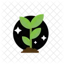 Crescimento Das Plantas Crescimento Natureza Icon