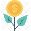 Dinheiro Planta Crescimento Ícone