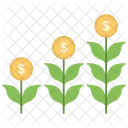 Dinheiro Planta Crescimento Ícone