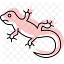 Crested Gecko Icon
