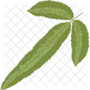Cretan brake fern  Icon