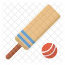 Ball Bat Cricket Icon